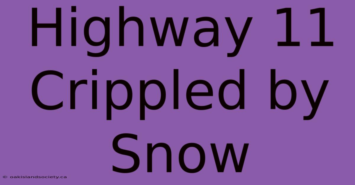 Highway 11 Crippled By Snow