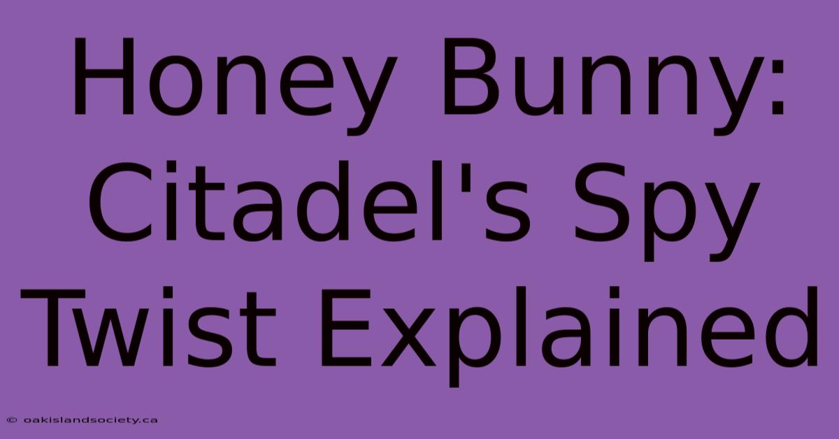 Honey Bunny: Citadel's Spy Twist Explained