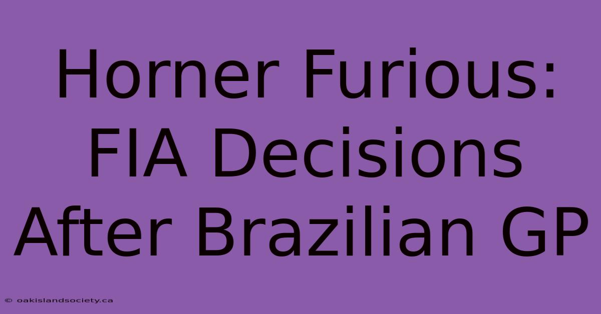 Horner Furious: FIA Decisions After Brazilian GP