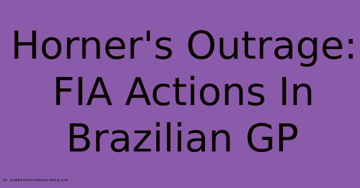 Horner's Outrage: FIA Actions In Brazilian GP 