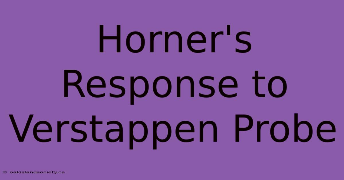 Horner's Response To Verstappen Probe