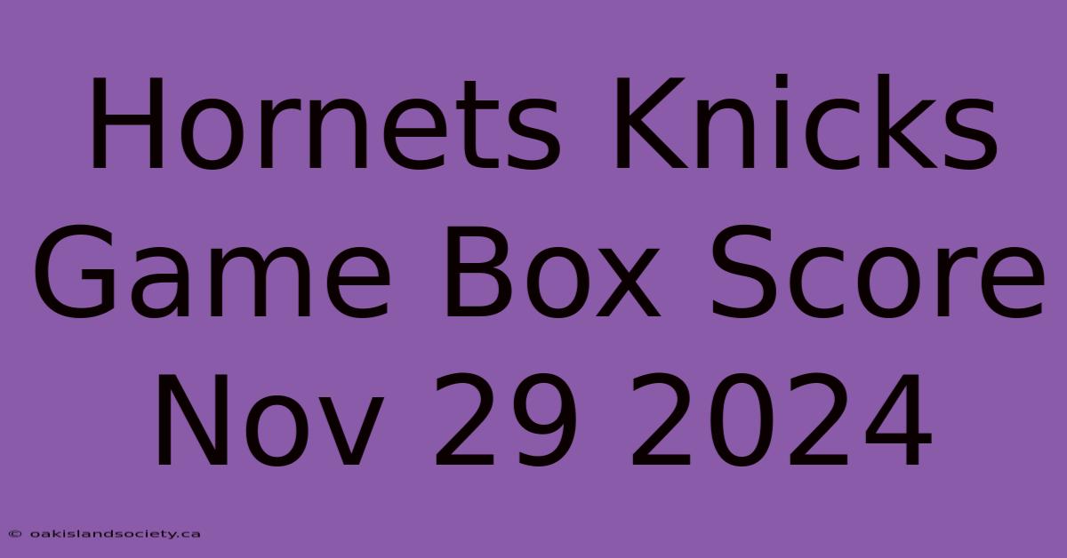 Hornets Knicks Game Box Score Nov 29 2024