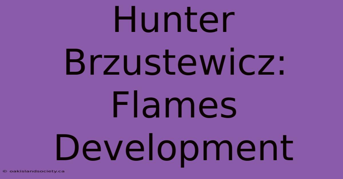 Hunter Brzustewicz: Flames Development