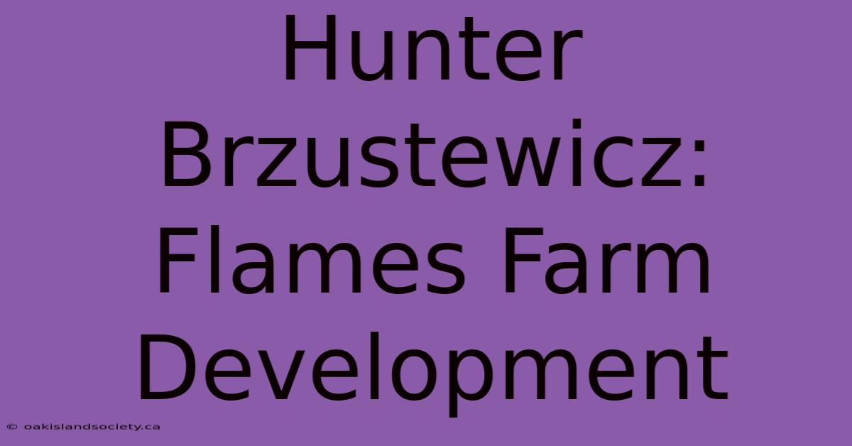 Hunter Brzustewicz: Flames Farm Development