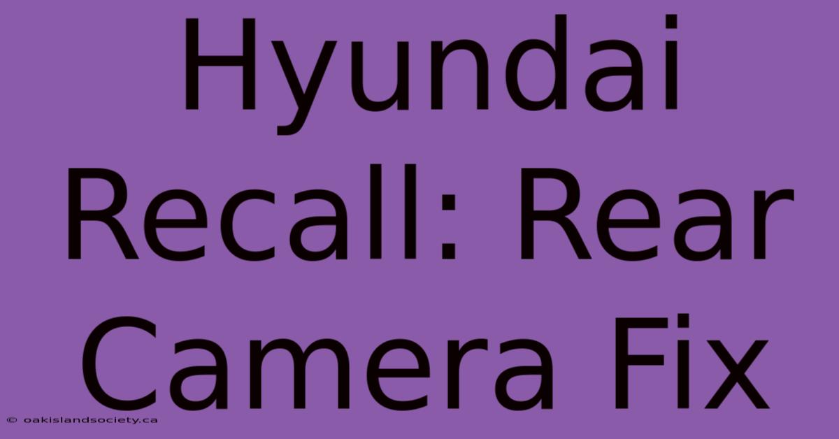 Hyundai Recall: Rear Camera Fix