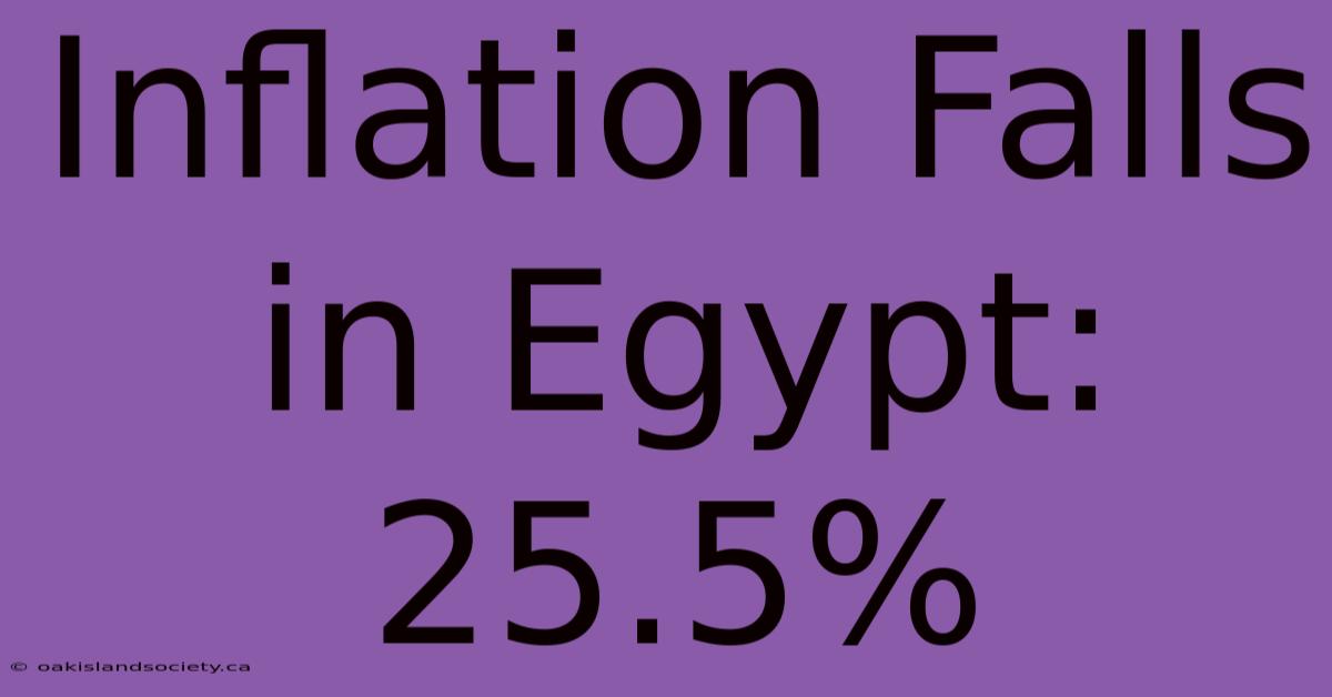 Inflation Falls In Egypt: 25.5%