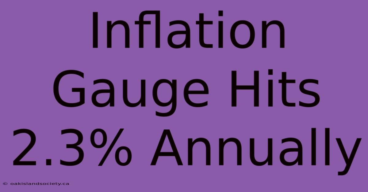 Inflation Gauge Hits 2.3% Annually