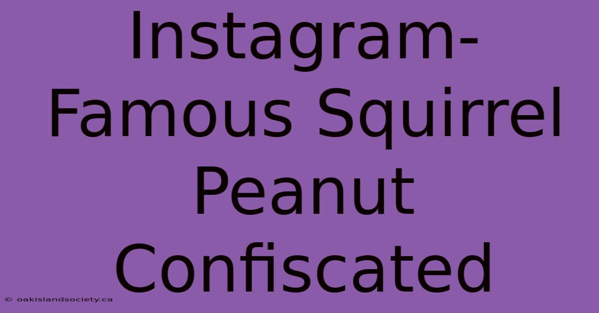 Instagram-Famous Squirrel Peanut Confiscated