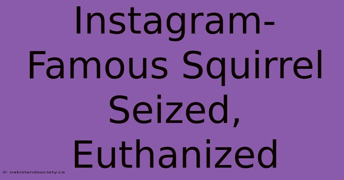 Instagram-Famous Squirrel Seized, Euthanized 