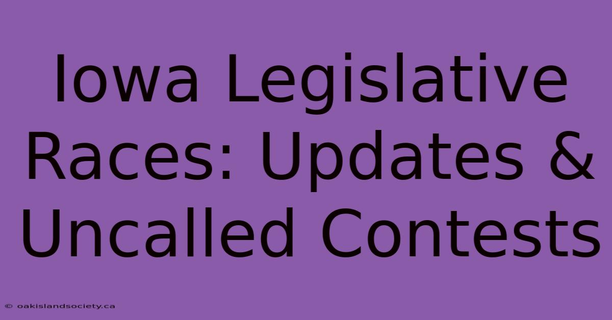 Iowa Legislative Races: Updates & Uncalled Contests