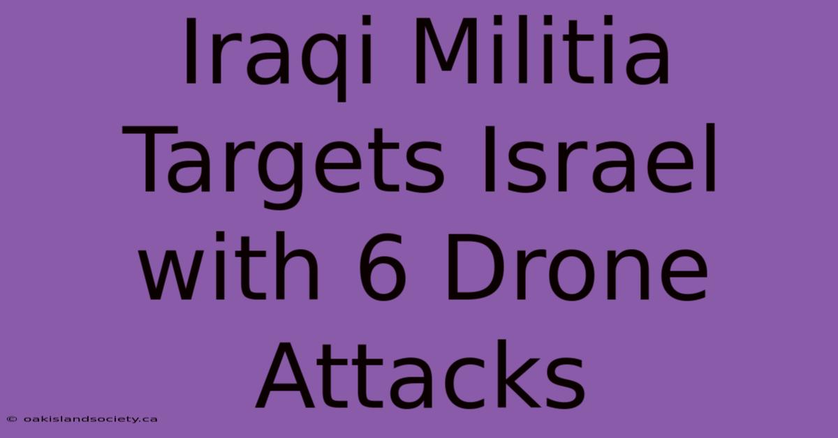 Iraqi Militia Targets Israel With 6 Drone Attacks 