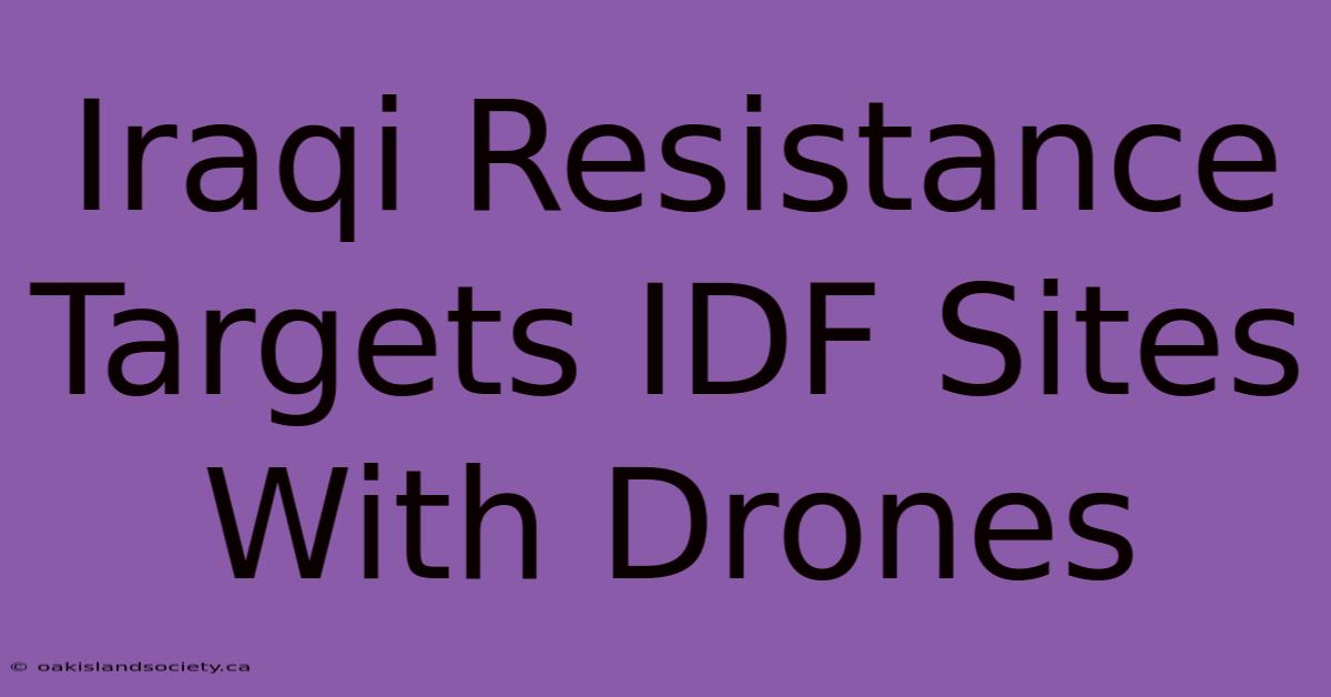 Iraqi Resistance Targets IDF Sites With Drones