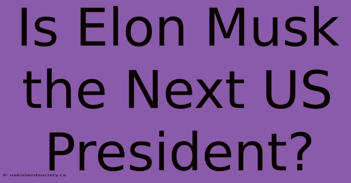 Is Elon Musk The Next US President? 