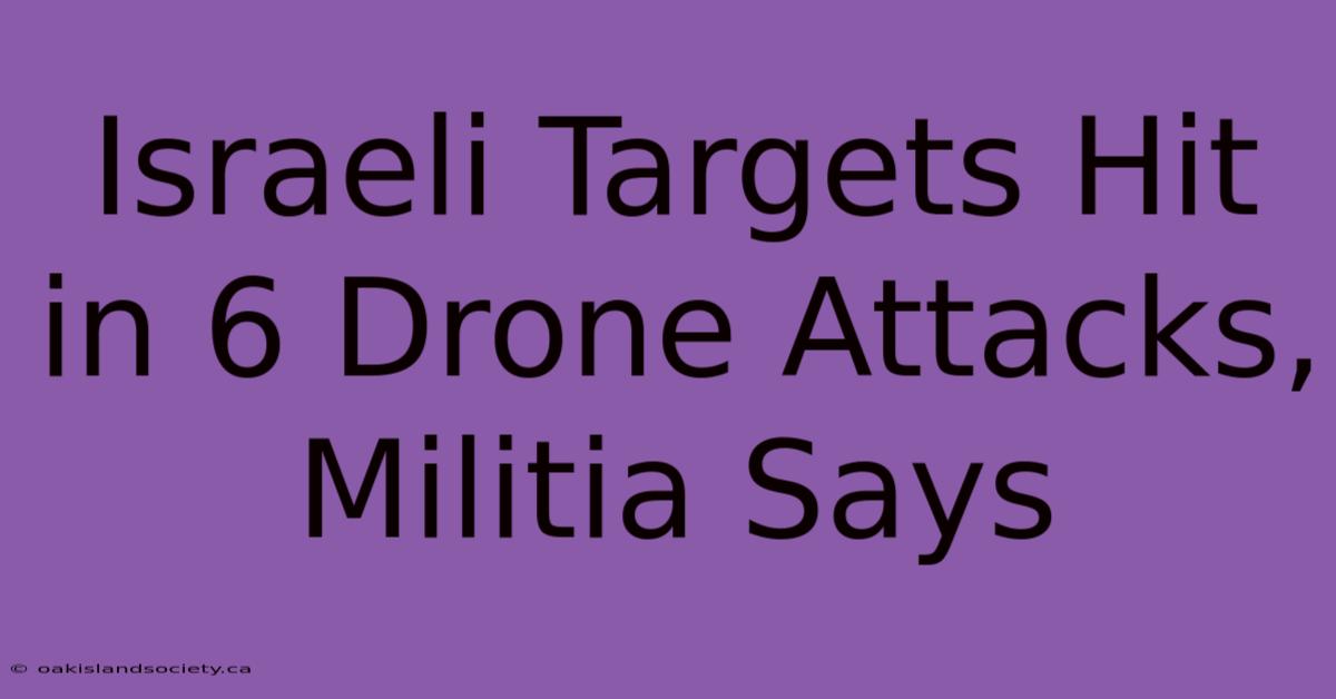 Israeli Targets Hit In 6 Drone Attacks, Militia Says