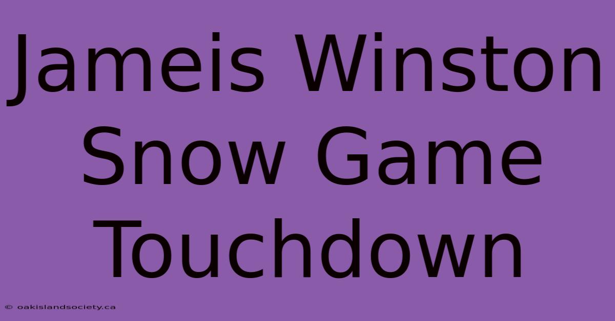 Jameis Winston Snow Game Touchdown