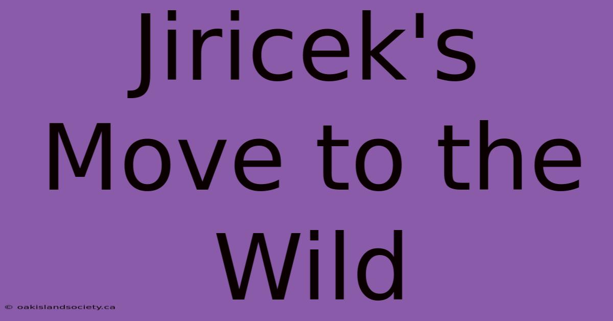 Jiricek's Move To The Wild