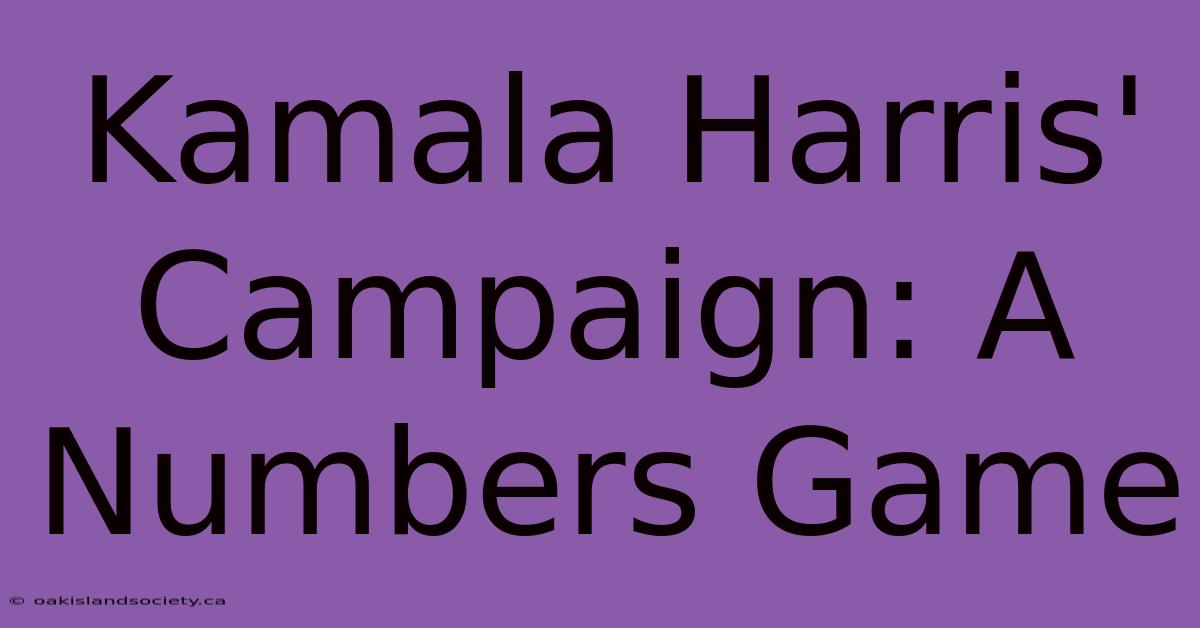 Kamala Harris' Campaign: A Numbers Game 