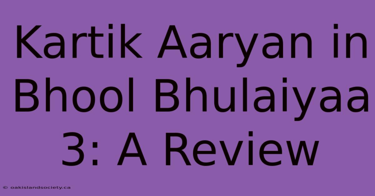 Kartik Aaryan In Bhool Bhulaiyaa 3: A Review