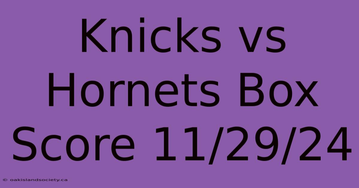 Knicks Vs Hornets Box Score 11/29/24