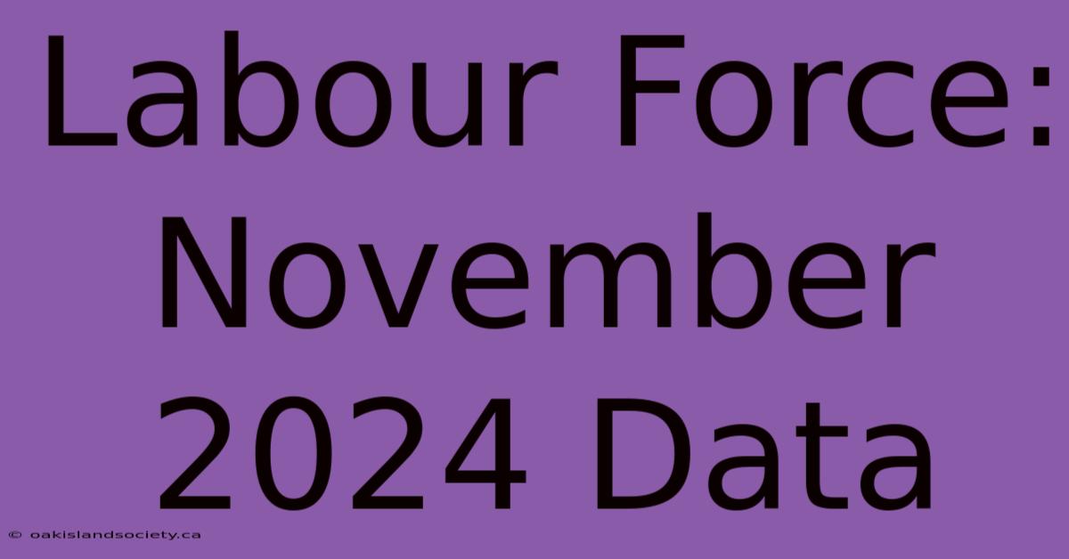 Labour Force: November 2024 Data