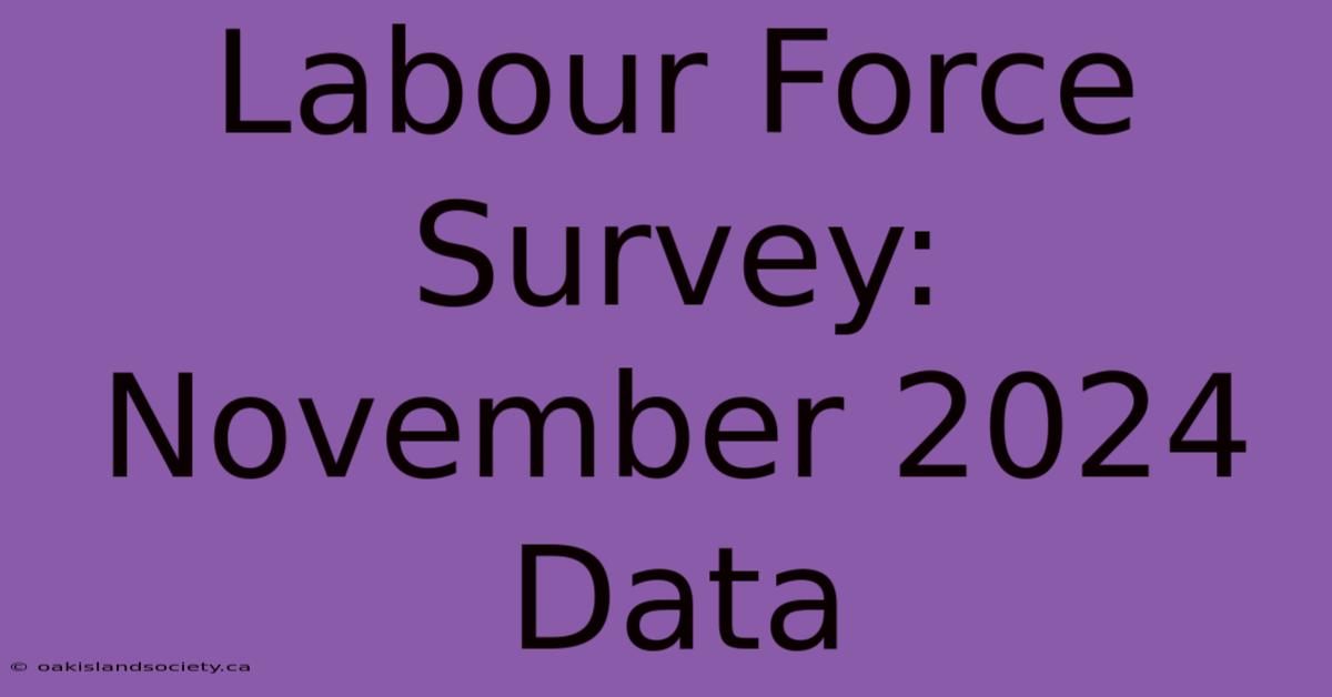 Labour Force Survey: November 2024 Data