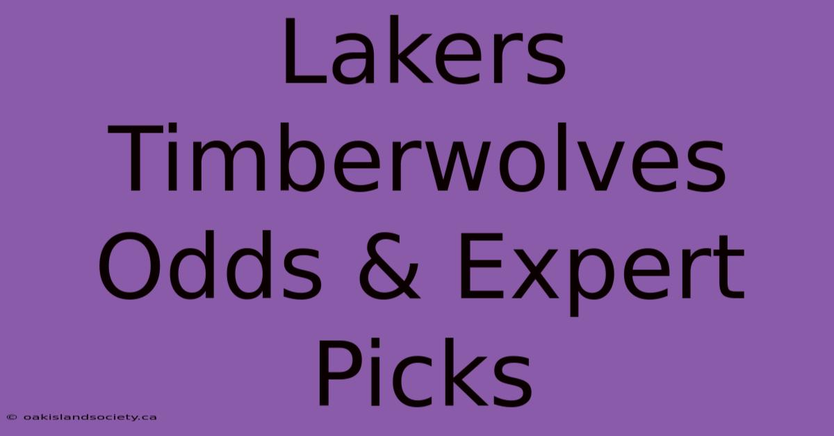 Lakers Timberwolves Odds & Expert Picks