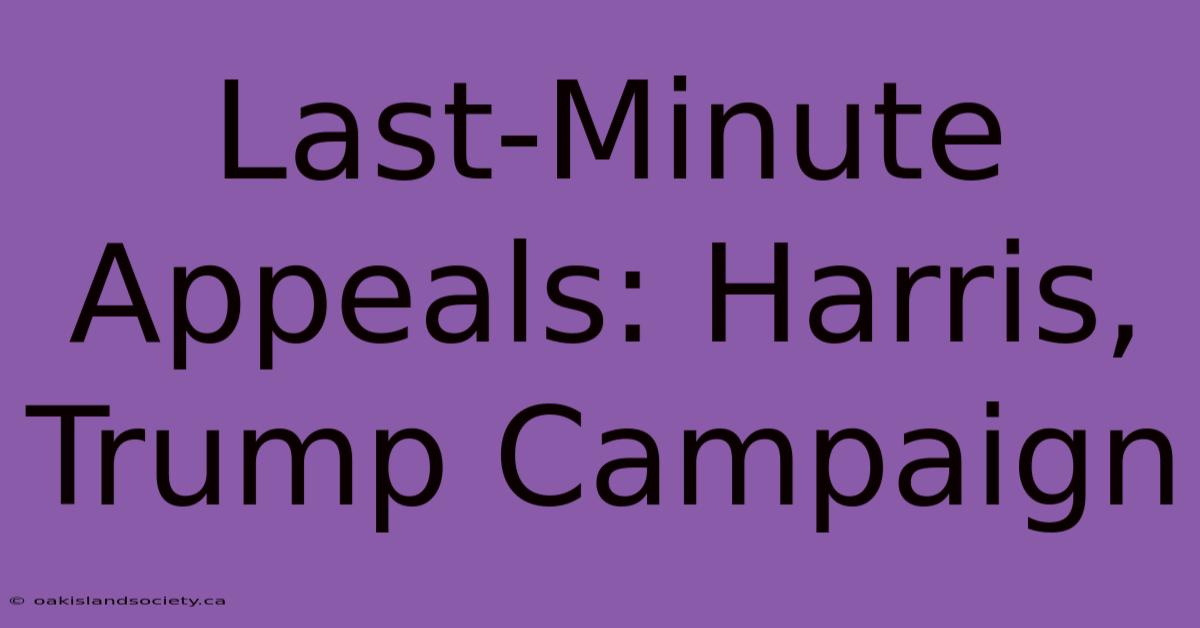 Last-Minute Appeals: Harris, Trump Campaign