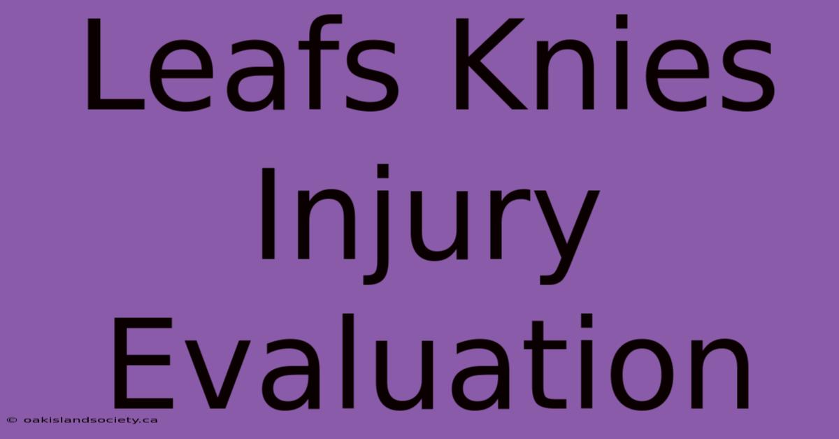 Leafs Knies Injury Evaluation