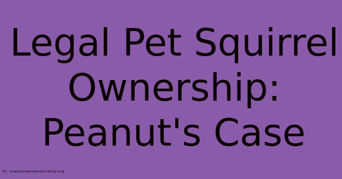 Legal Pet Squirrel Ownership: Peanut's Case