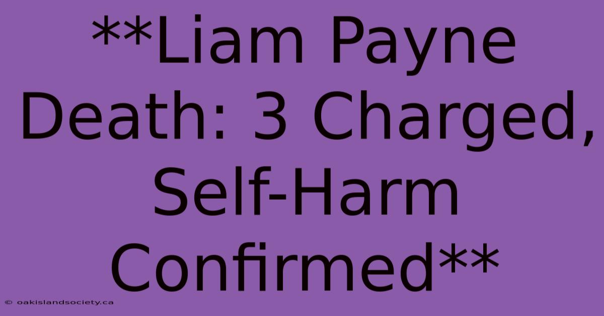 **Liam Payne Death: 3 Charged, Self-Harm Confirmed**