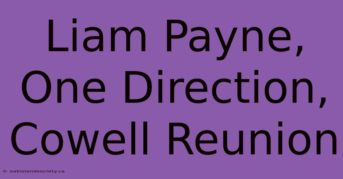 Liam Payne, One Direction, Cowell Reunion