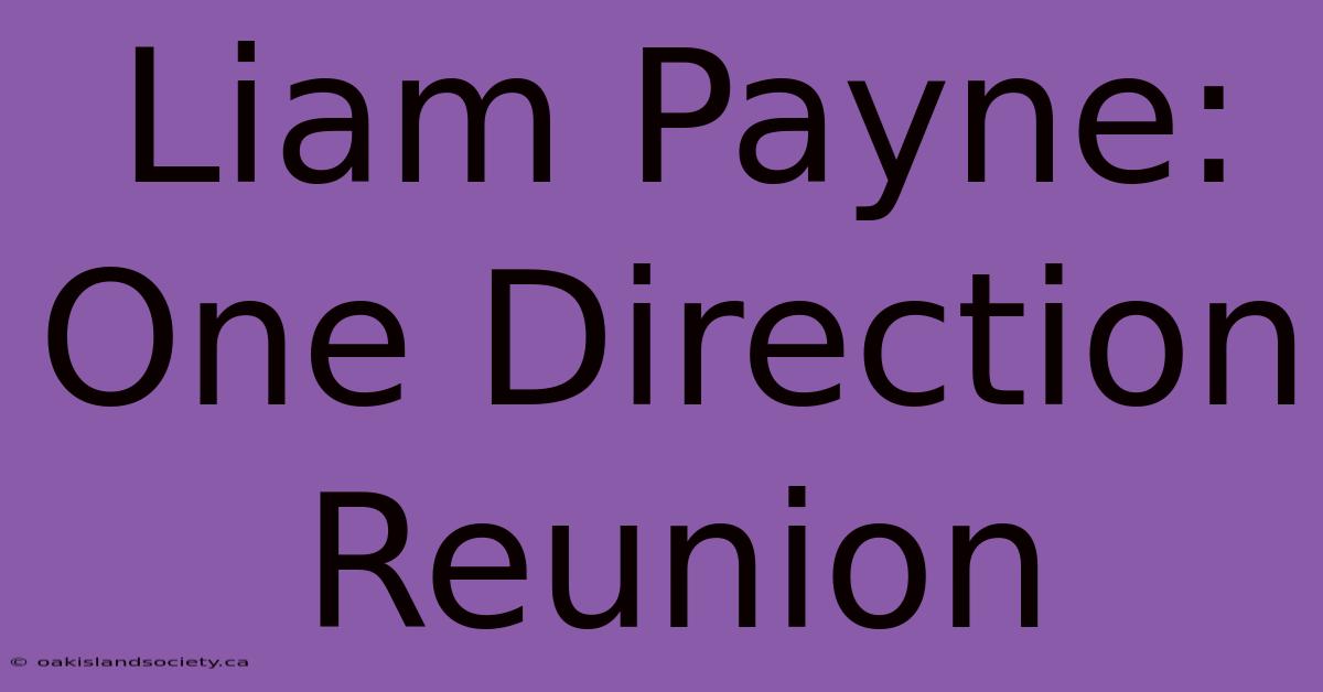 Liam Payne: One Direction Reunion