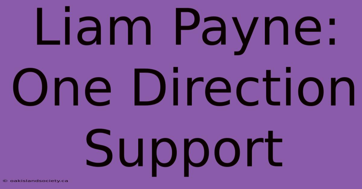 Liam Payne: One Direction Support