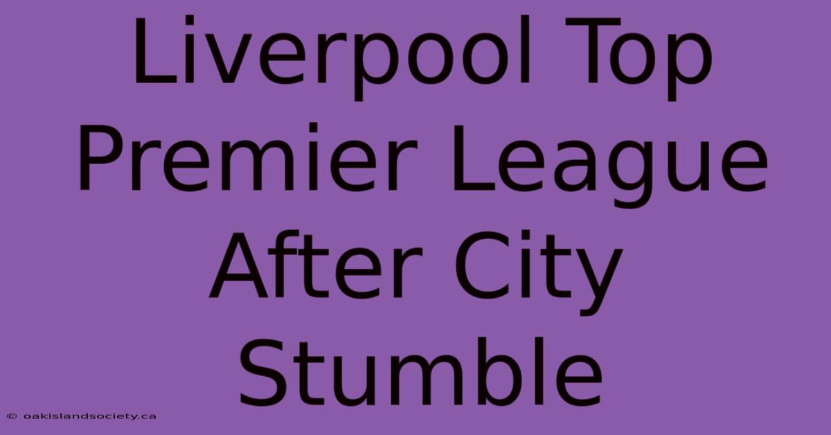 Liverpool Top Premier League After City Stumble