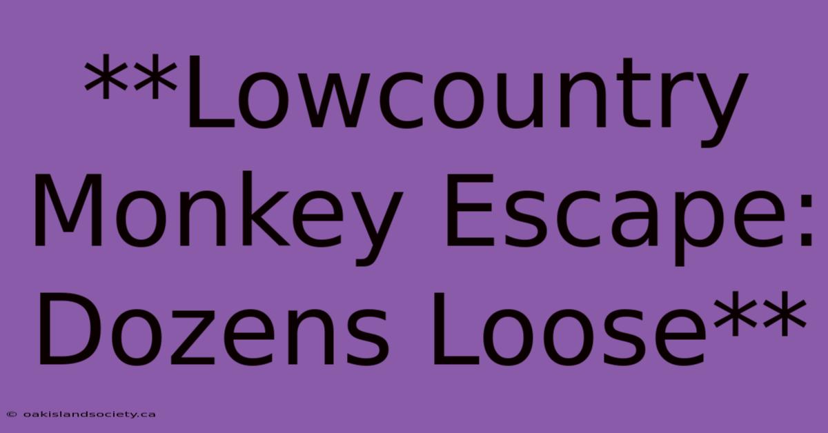 **Lowcountry Monkey Escape: Dozens Loose**