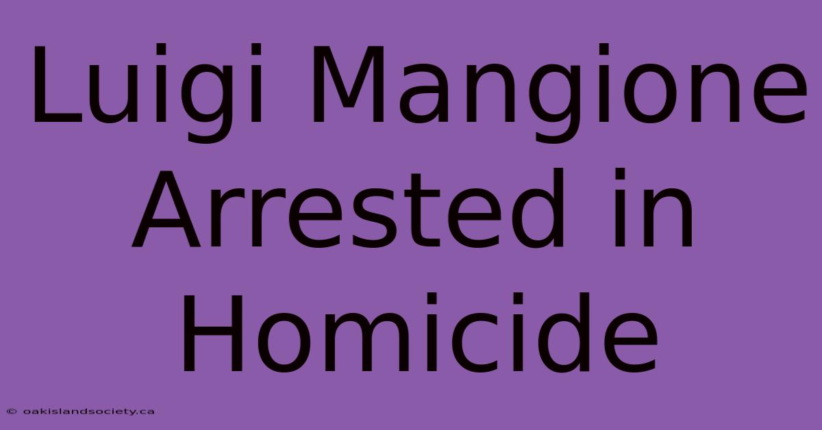 Luigi Mangione Arrested In Homicide