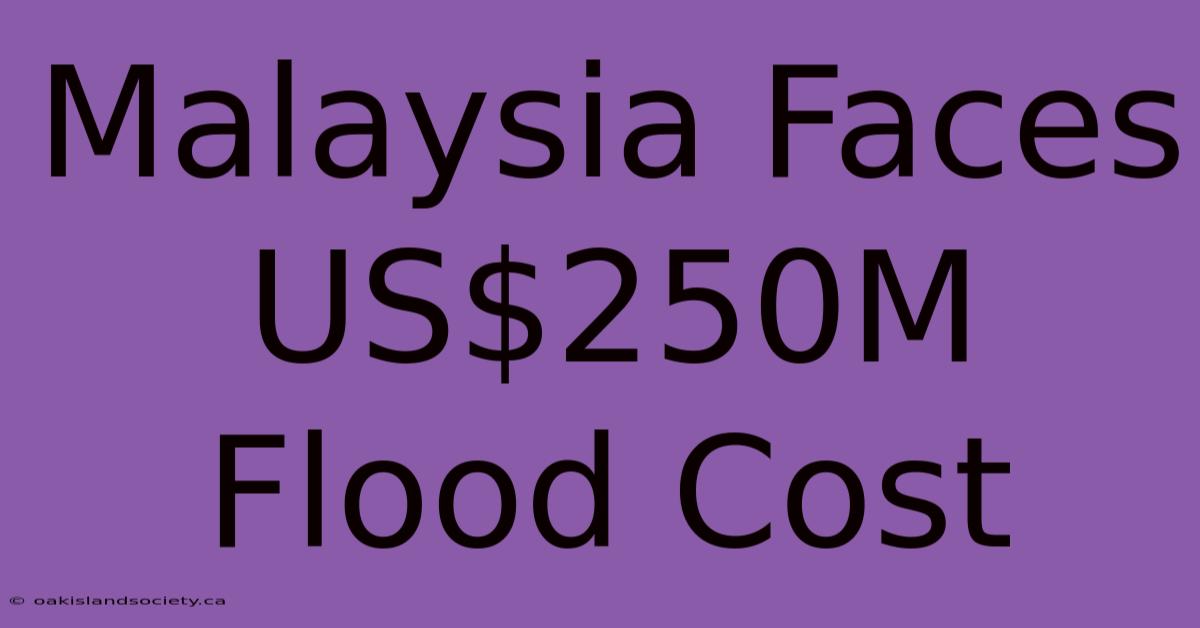 Malaysia Faces US$250M Flood Cost