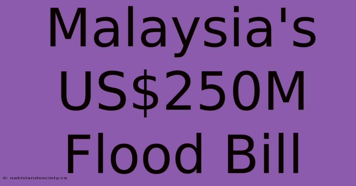 Malaysia's US$250M Flood Bill