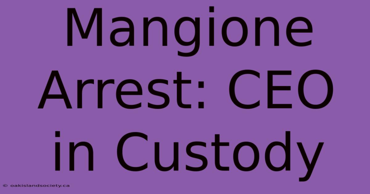 Mangione Arrest: CEO In Custody