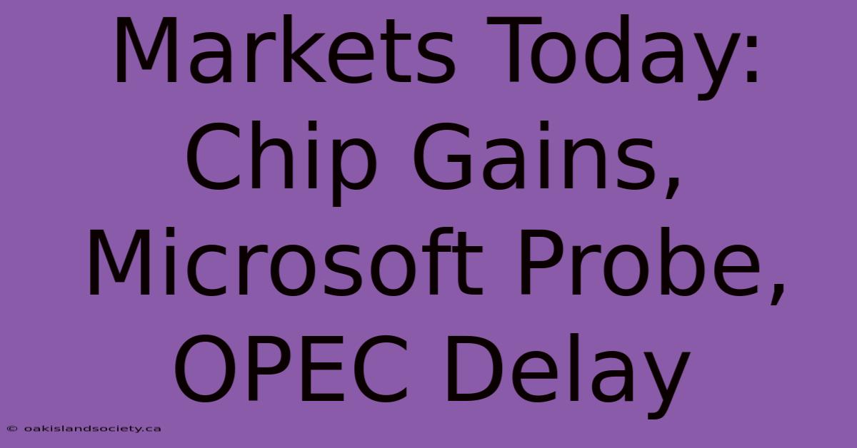 Markets Today: Chip Gains, Microsoft Probe, OPEC Delay