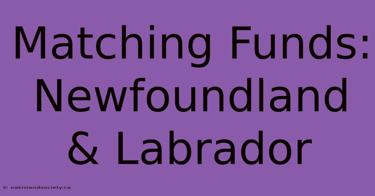 Matching Funds: Newfoundland & Labrador