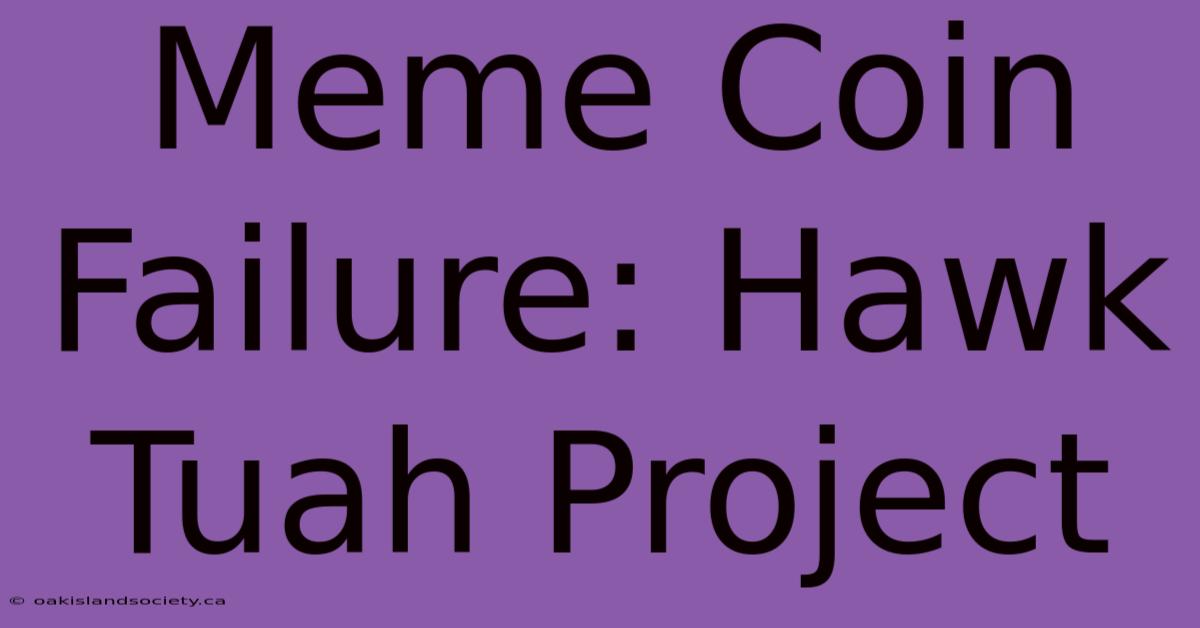 Meme Coin Failure: Hawk Tuah Project