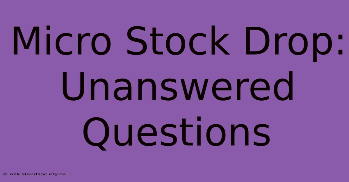 Micro Stock Drop: Unanswered Questions