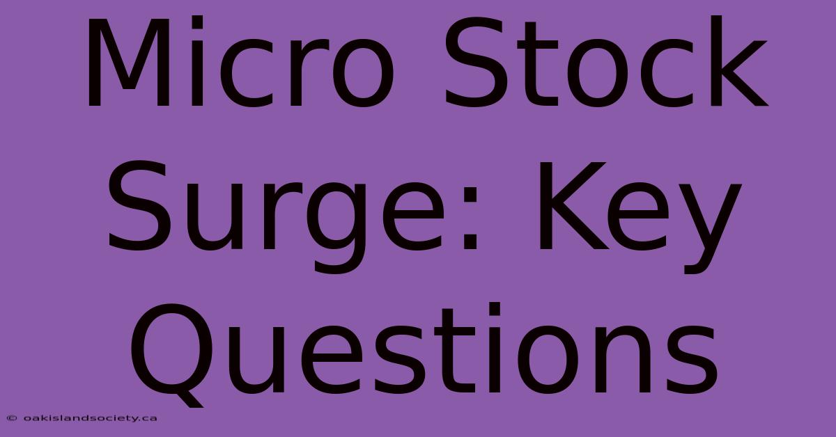 Micro Stock Surge: Key Questions