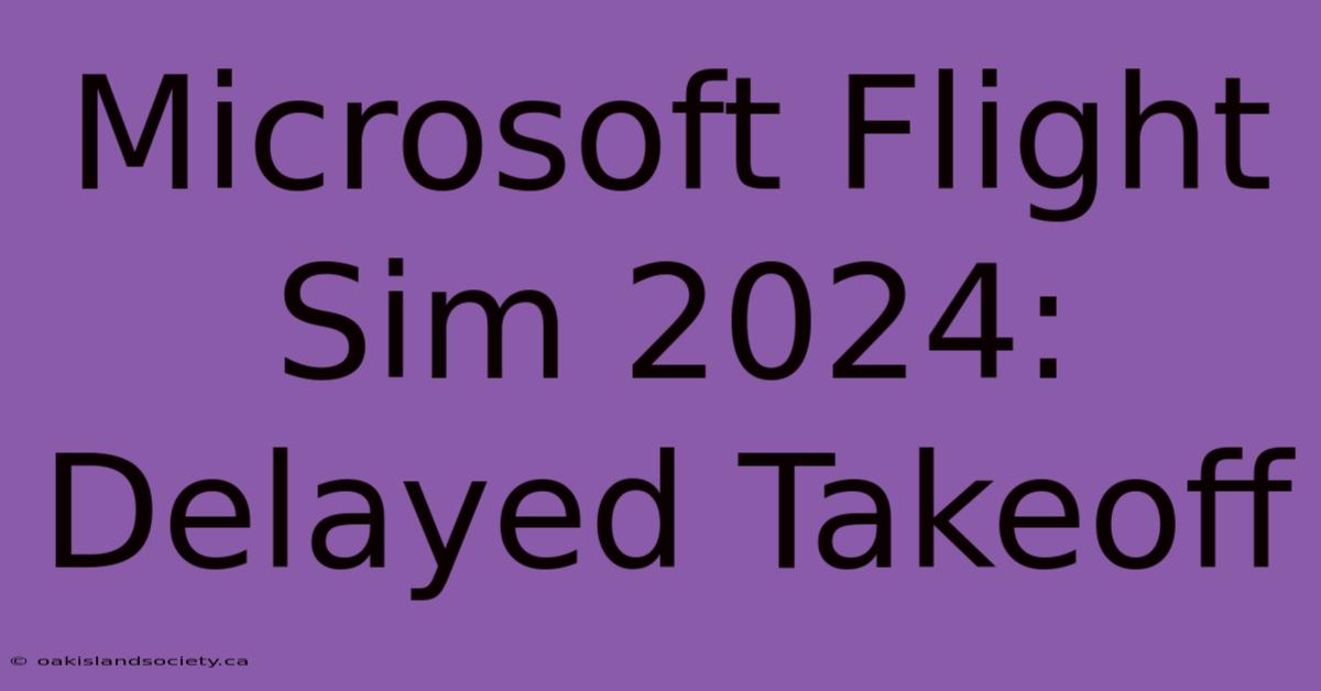 Microsoft Flight Sim 2024: Delayed Takeoff