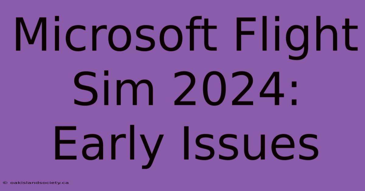 Microsoft Flight Sim 2024: Early Issues