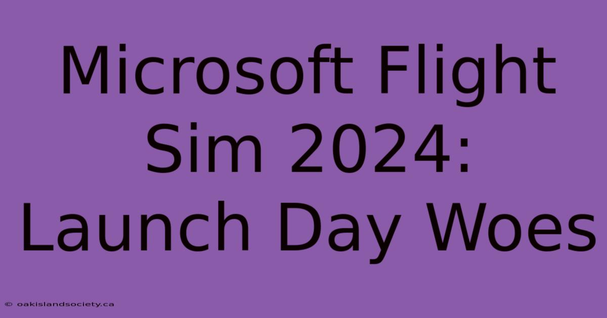 Microsoft Flight Sim 2024: Launch Day Woes