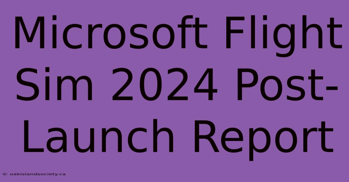 Microsoft Flight Sim 2024 Post-Launch Report