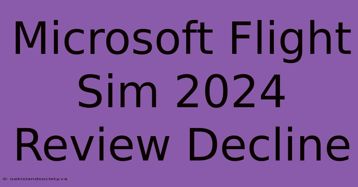 Microsoft Flight Sim 2024 Review Decline