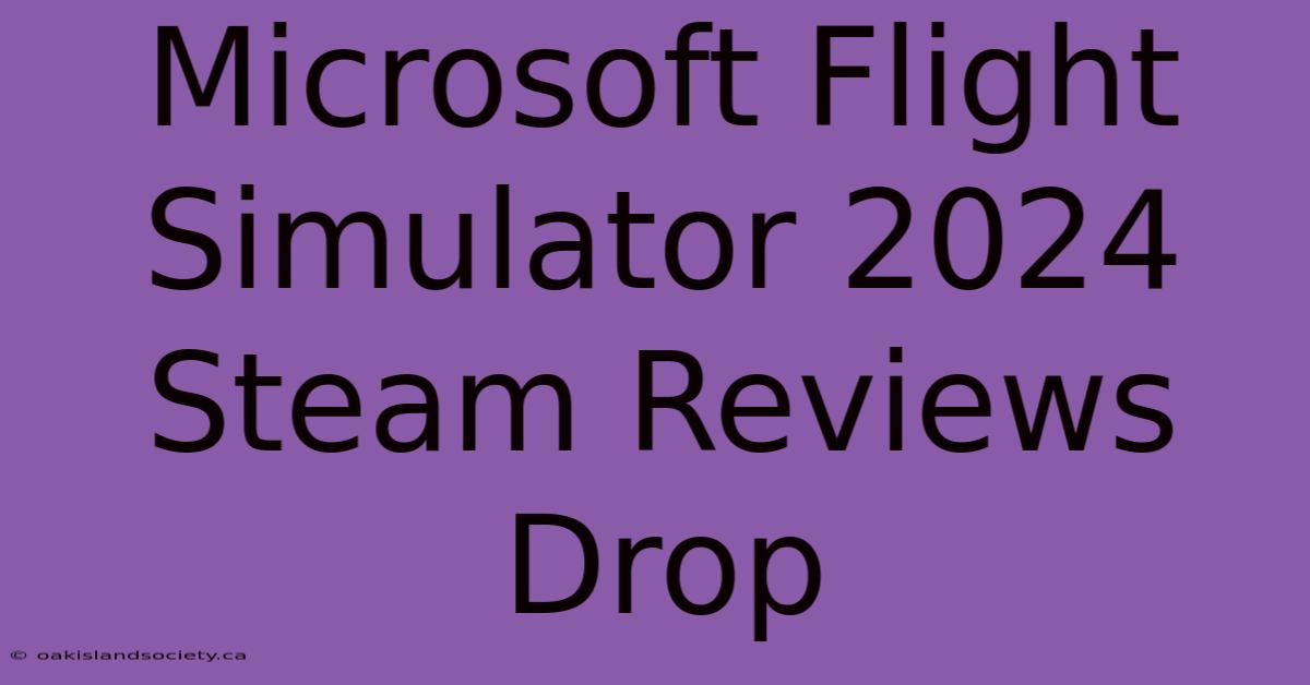 Microsoft Flight Simulator 2024 Steam Reviews Drop